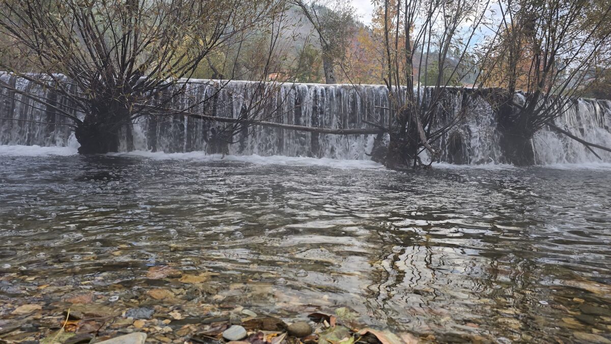 Feliz Natal e um próspero Ano Novo!