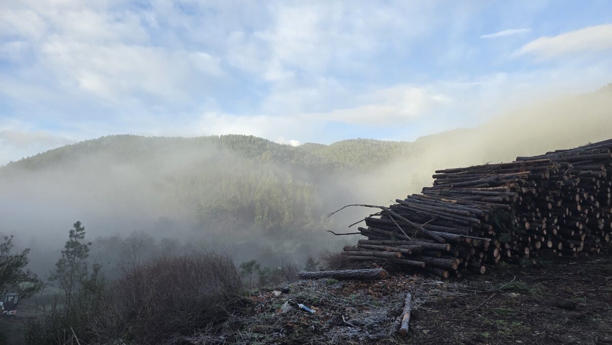 Zwischen hier und dort